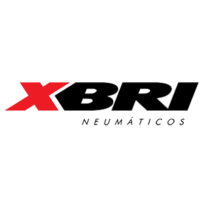 XBRI